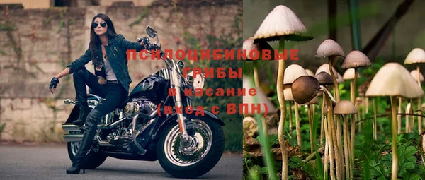 прущая мука Володарск