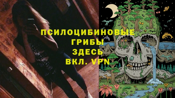 прущие грибы Бугульма